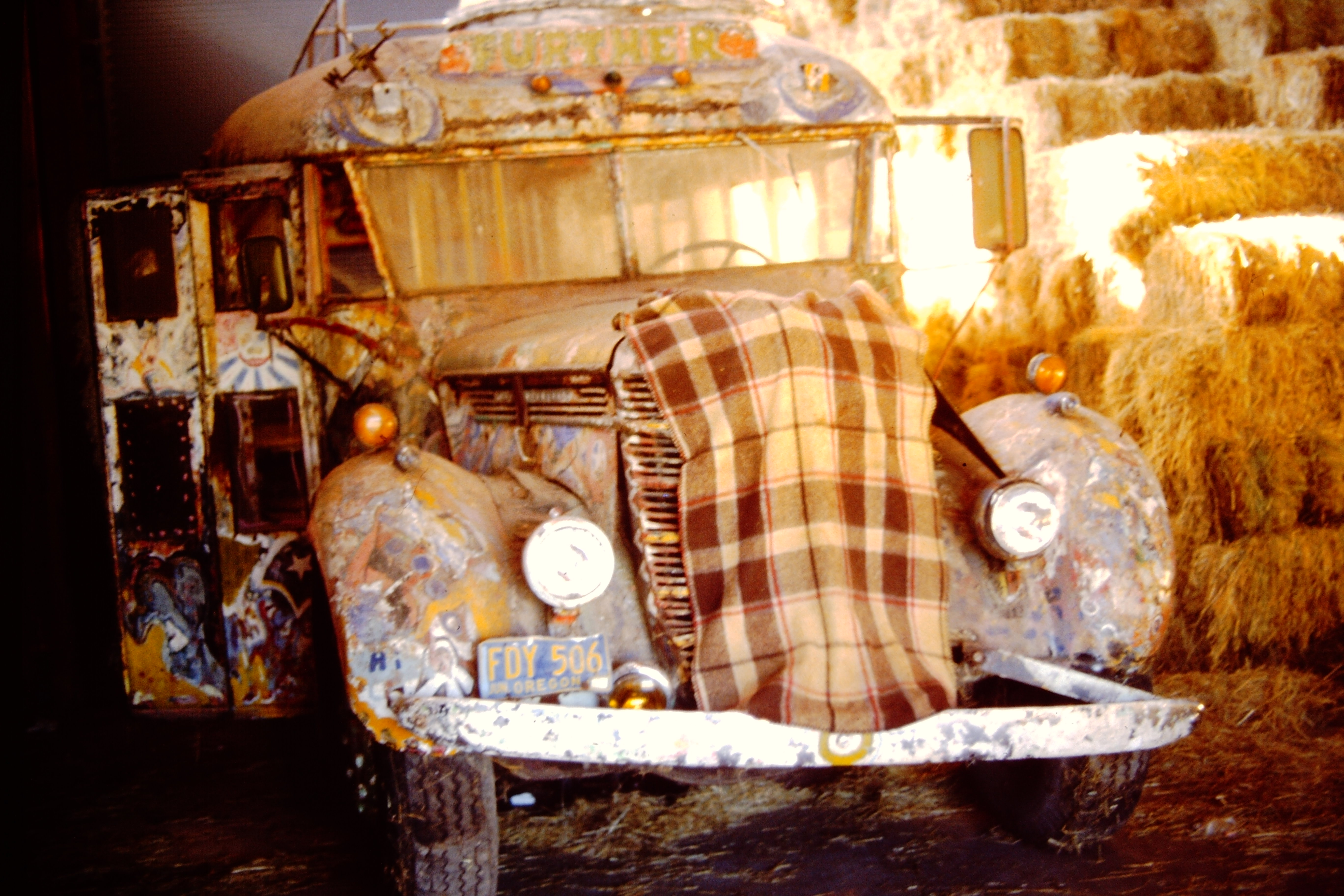 My beautiful picture